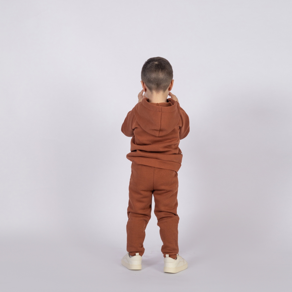 296-ТР. Свитшот с капюшоном  + Штаны, хлопок 65%, 35% ПЭ, 3-х нитка (начес) терракот  98,104,110,116